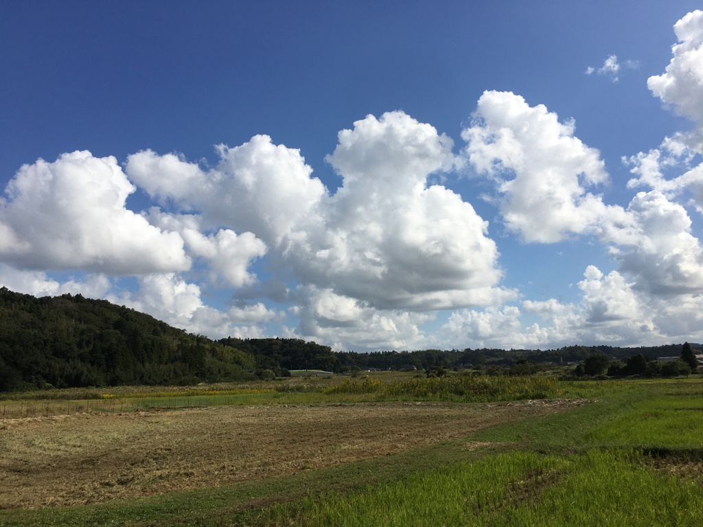 秋の空