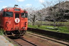 春の小湊鉄道