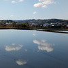 田植え前