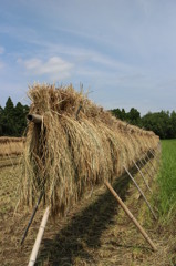 一手間かける