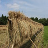 一手間かける