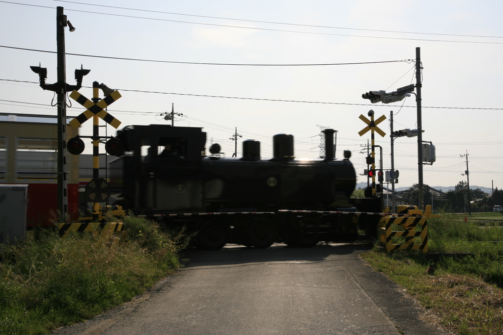 小湊トロッコ