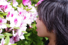 flower×son