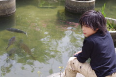 池×son