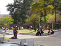 それぞれの休日