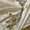 まちぼうけ
