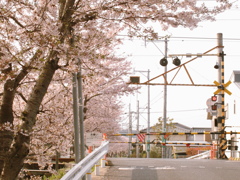踏切
