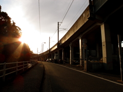 go home
