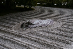 竜