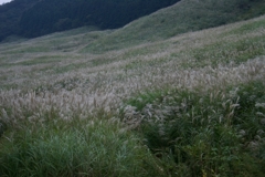 ひとりたたずみ