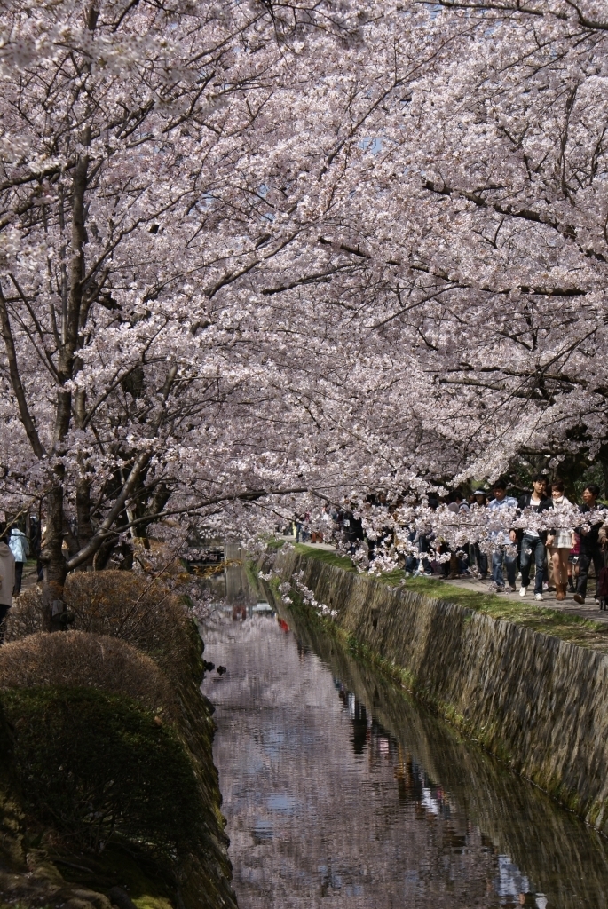 春の陽気