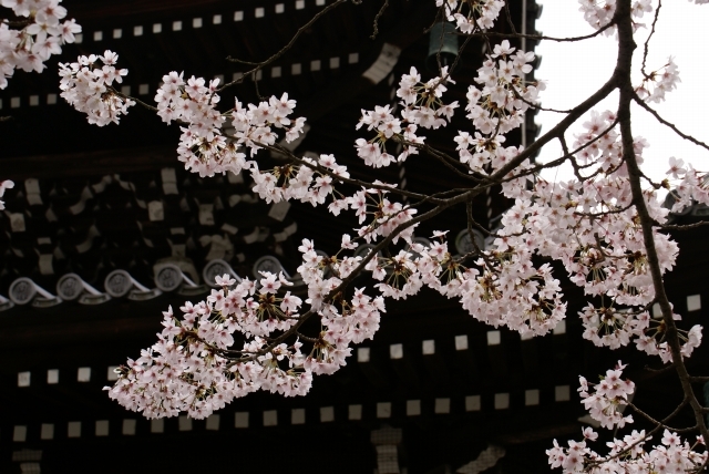 古都