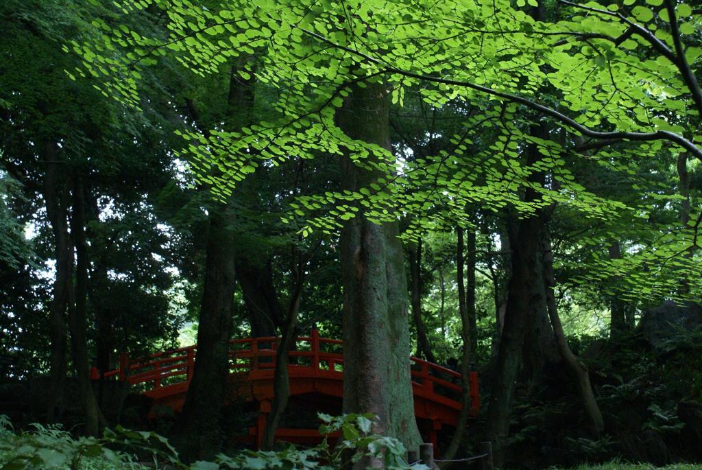 静寂