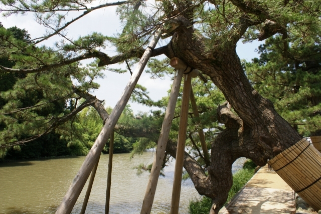 縄手の堀辺