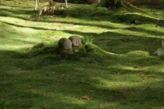 寄り添う