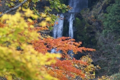 秋田の自然