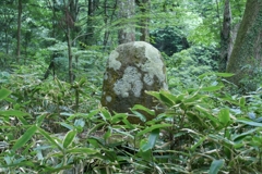詠う