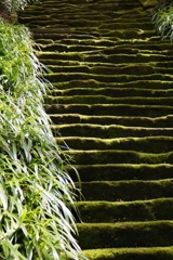 道　～鎌倉～