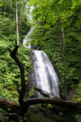 まいなすイオン