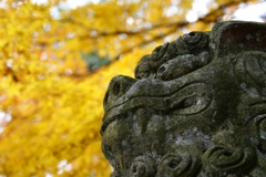 獅子