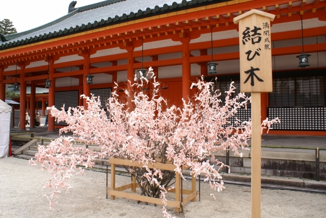 枝垂れ