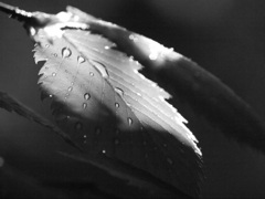P6301628