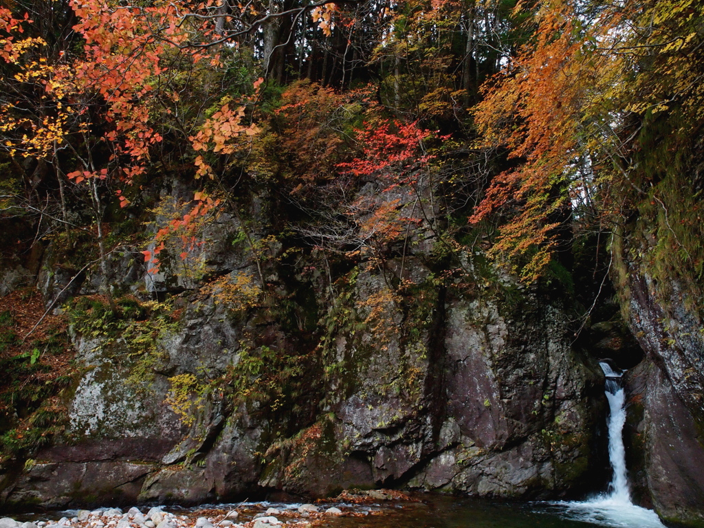 鬼怒川の紅葉