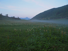 五郎岳のテン場から