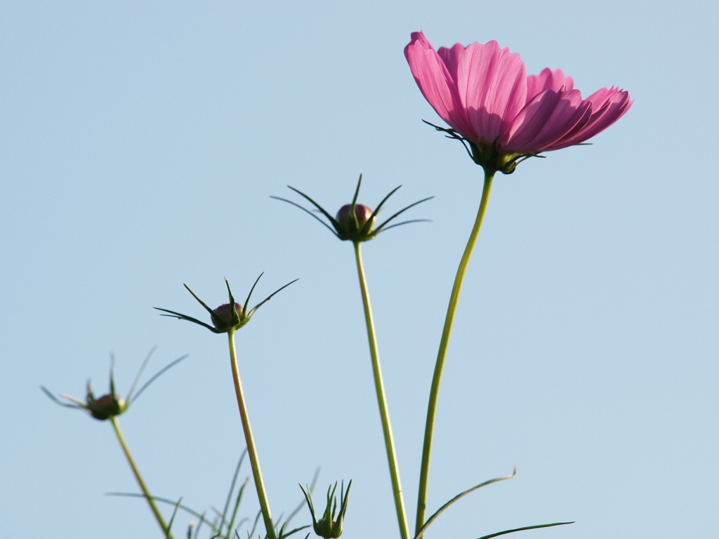 P8045105