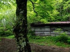 三軒茶屋