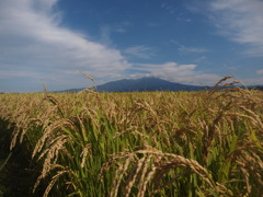 庄内米と鳥海山