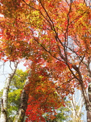 奥鬼怒・八丁の湯