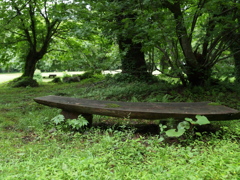 P7082667
