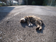 にゃ