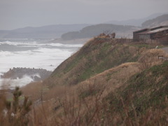 日本海