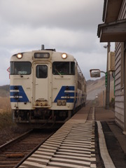 the Gonoh Line