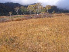 尾瀬ヶ原・・2010秋