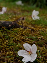 雨後・哲学道