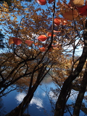 湖畔の秋・