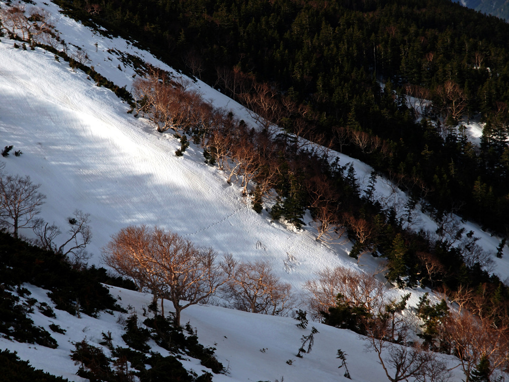 長壁山・・