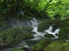 湧水の滝２