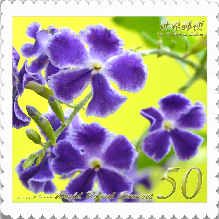 花切手＜2014-40＞＊ジュランタ