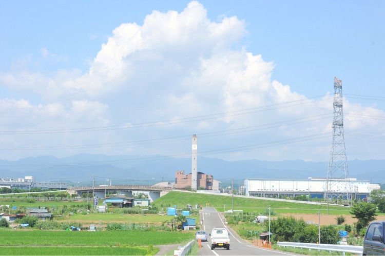 此岸からの風景＜2011-1＞＊高麗川、新戸口橋付近
