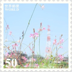 ＜花切手2011＊ガウラ＝山桃草＞