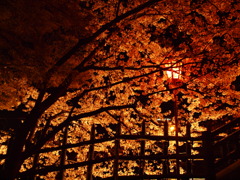 2010.4.8