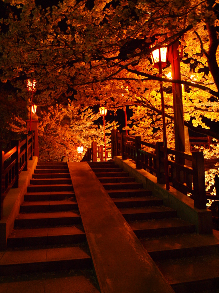 2010.4.8 (2)