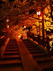 2010.4.8 (2)