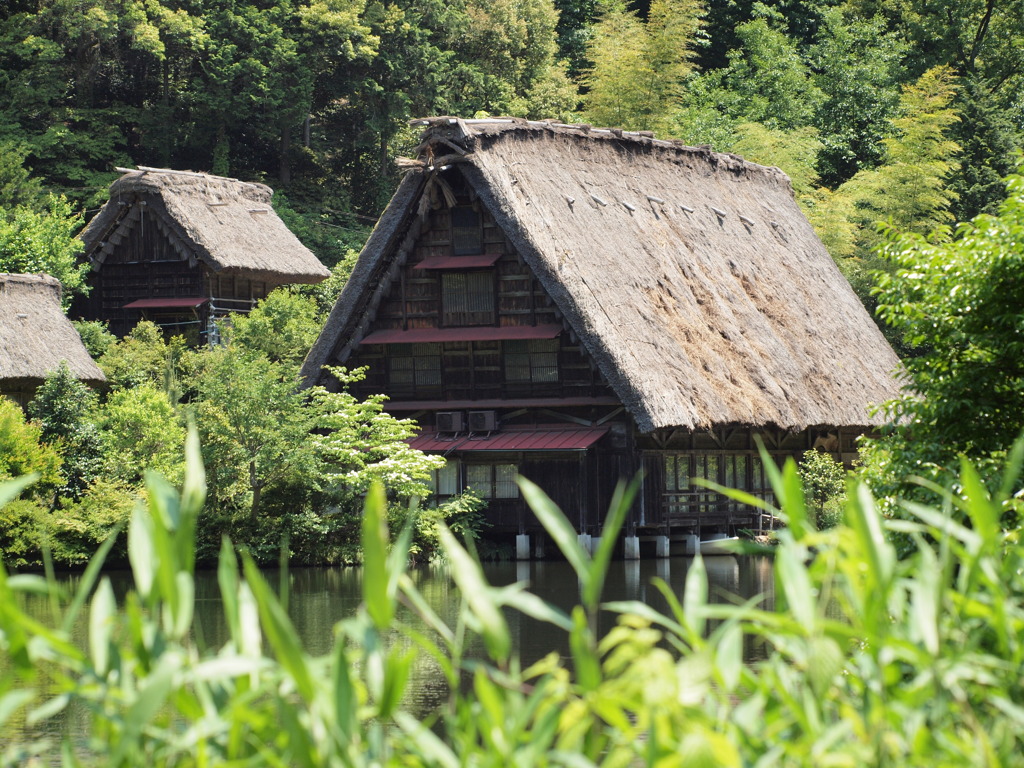 2010.6.3 (1)