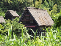 2010.6.3 (1)