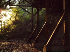 2010.9.19 (2)
